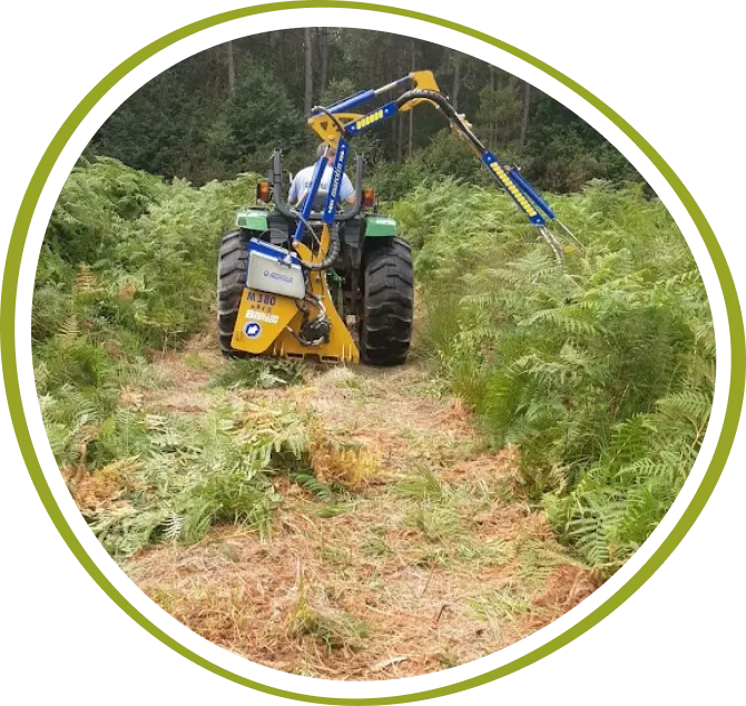 Loic De Talhouet Travaux Forestiers Bretagne Loicdetalhouet H1